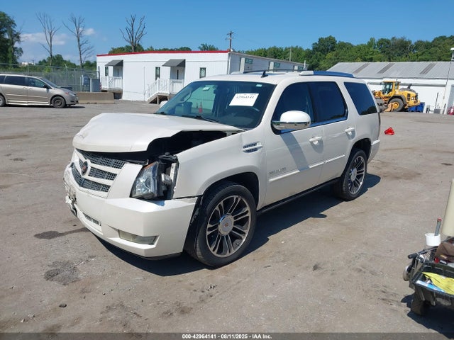 2013 CADILLAC ESCALADE 1GYS3CEF0DR104742 Photo 1