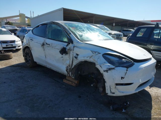 2023 TESLA MODEL Y 7SAYGDEE7PF710117 Photo 0