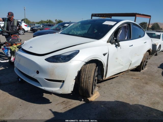 2023 TESLA MODEL Y 7SAYGDEE7PF710117 Photo 1