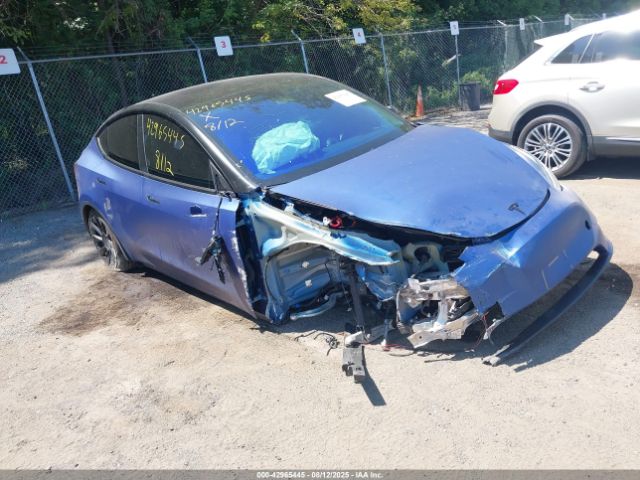 2023 TESLA MODEL Y 7SAYGDED1PF956393 Photo 0