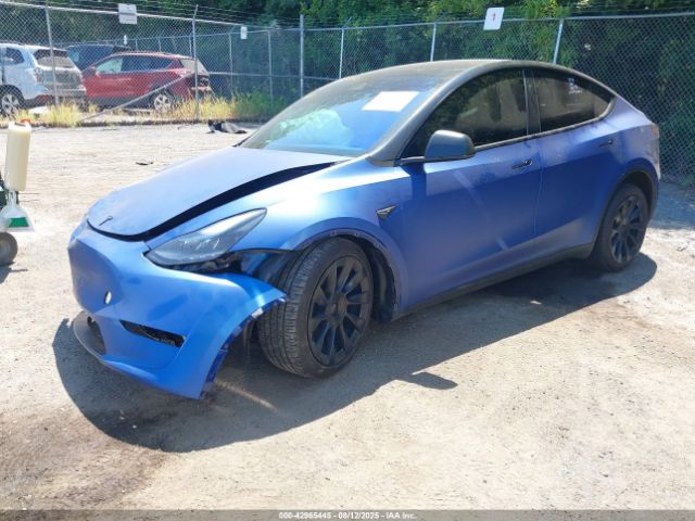 2023 TESLA MODEL Y 7SAYGDED1PF956393 Photo 1