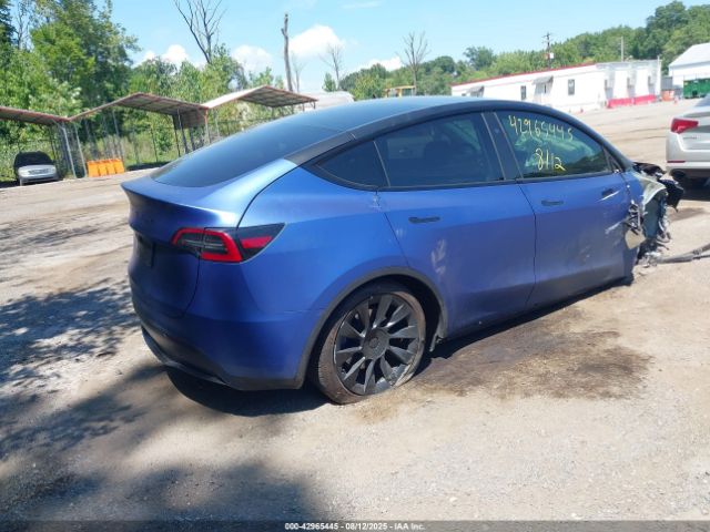 2023 TESLA MODEL Y 7SAYGDED1PF956393 Photo 3