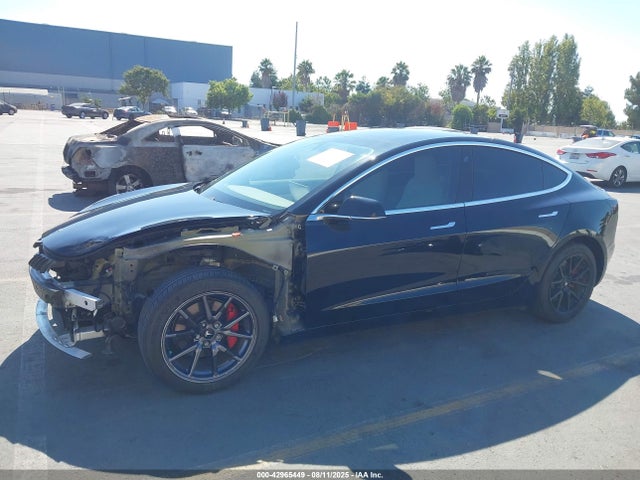 2020 TESLA MODEL 3 5YJ3E1EA4LF634519 Photo 5