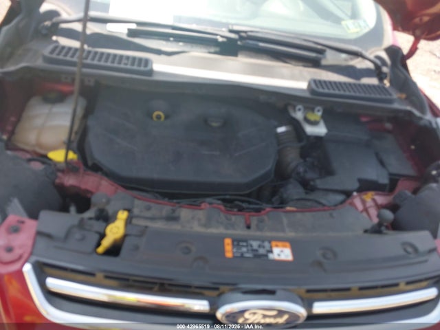 Ford Escape 2015 1FMCU0J95FUC56422 Image 10