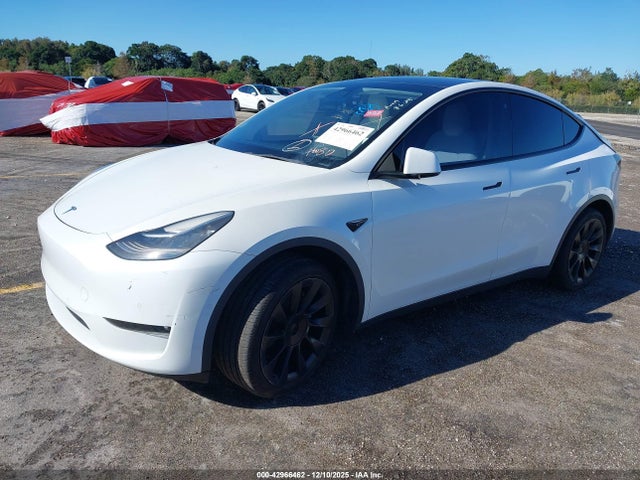 2021 TESLA MODEL Y 5YJYGAEE2MF225133 Photo 1