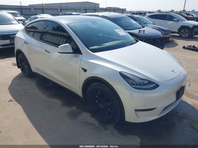 2022 TESLA MODEL Y 7SAYGDEE1NA003346 Photo 0