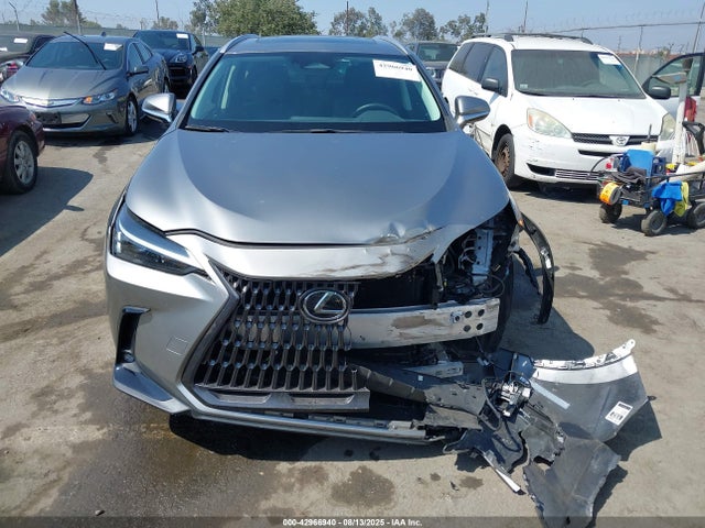 Lexus t24a-fts 2024 2T2AGCEZ2RC038787 Image 12