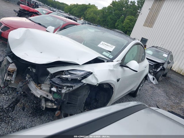 2020 TESLA MODEL Y 5YJYGDEF5LF006109 Photo 1