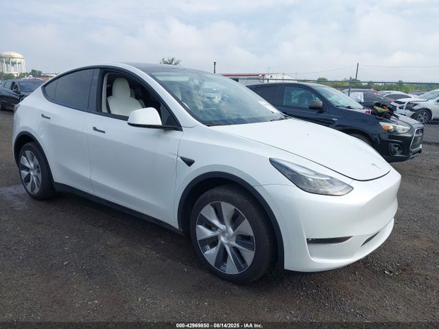 2023 TESLA MODEL Y 7SAYGDEE5PF633389 Photo 0