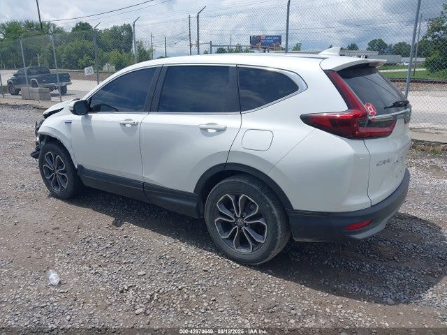 Honda lfb2 2021 7FART6H88ME025641 Image 3
