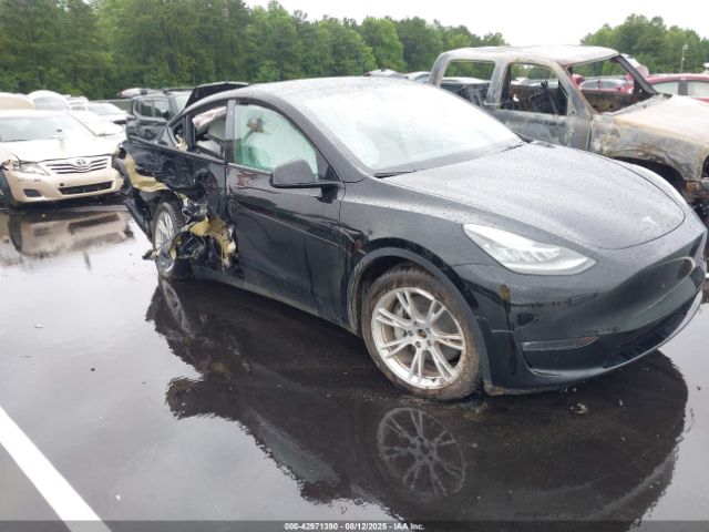 2022 TESLA MODEL Y 7SAYGAEE3NF428987 Photo 0