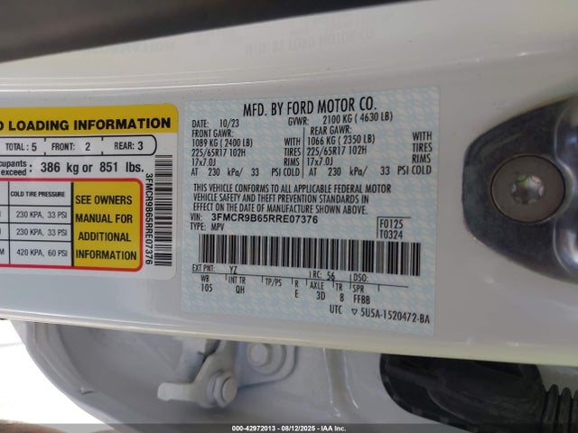 3FMCR9B65RRE07376 Ford dragon