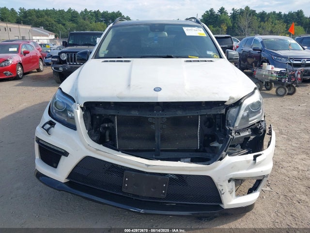 Mercedes-Benz Gl-Class 2014 4JGDF7DE4EA323740 Image 12