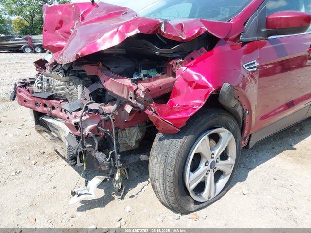 Ford Escape 2014 1FMCU0GXXEUC10668 Image 6
