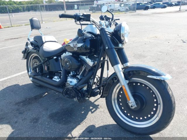 2010 HARLEY-DAVIDSON FLSTFB 1HD1JN512AB032985