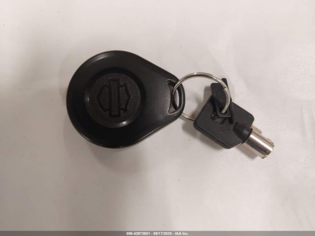 2010 HARLEY-DAVIDSON FLSTFB 1HD1JN512AB032985 Photo 10