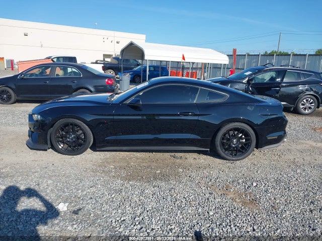 42972951 :رقم المزاد ، 1FA6P8CF1K5175101 vin ، 2019 Ford Mustang Gt مزاد بيع