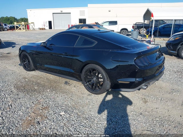 42972951 :رقم المزاد ، 1FA6P8CF1K5175101 vin ، 2019 Ford Mustang Gt مزاد بيع