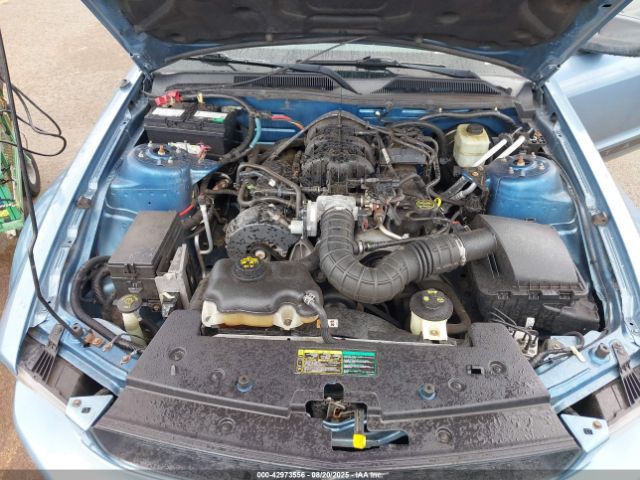 2005 FORD MUSTANG 1ZVFT80N355233003 Photo 9