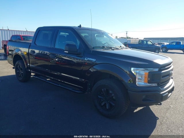 Ford F-150 Xlt 2019 1FTEW1E40KKC44437 главное изображение