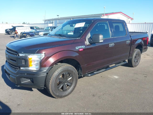 Ford F-150 Xlt 2019 1FTEW1E40KKC44437 Image 2