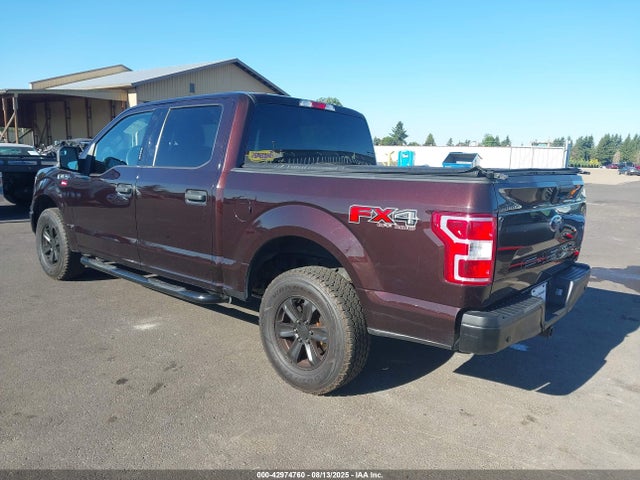 Ford F-150 Xlt 2019 1FTEW1E40KKC44437 Image 3