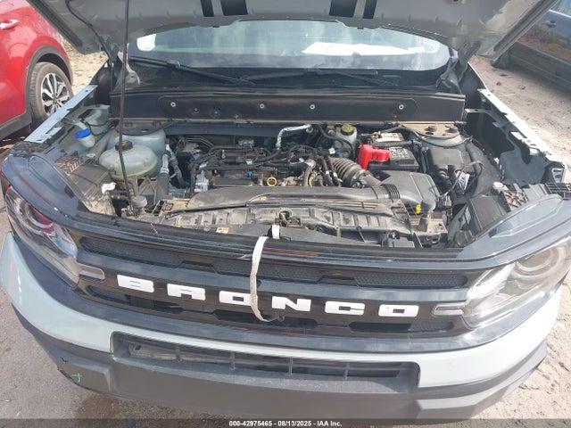 3FMCR9C6XMRB12331 Ford dragon
