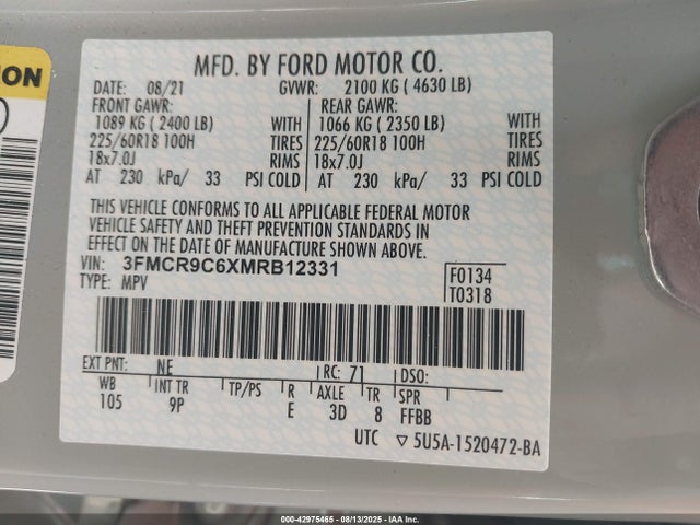 3FMCR9C6XMRB12331 Ford dragon