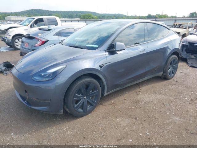 2023 TESLA MODEL Y 7SAYGDEE4PA202135 Photo 1