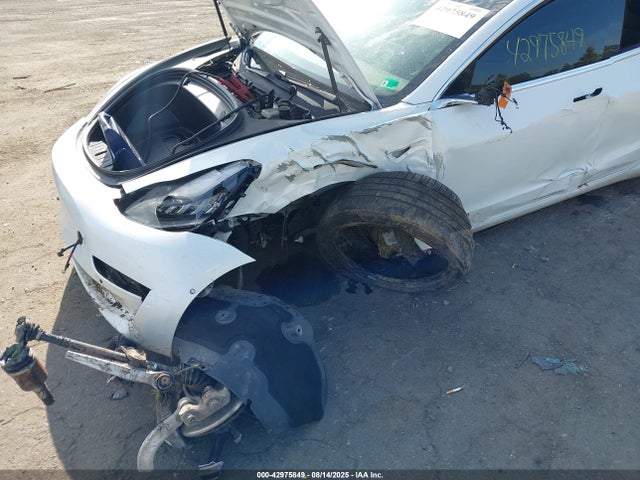 2019 TESLA MODEL 3 5YJ3E1EB2KF510594 Photo 5