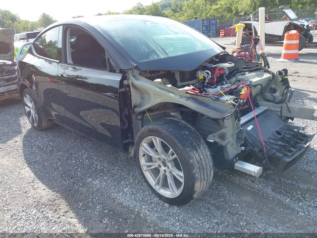 2023 TESLA MODEL Y 7SAYGDEE7PF825882 Photo 0