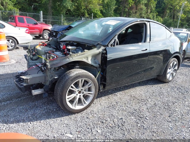2023 TESLA MODEL Y 7SAYGDEE7PF825882 Photo 1