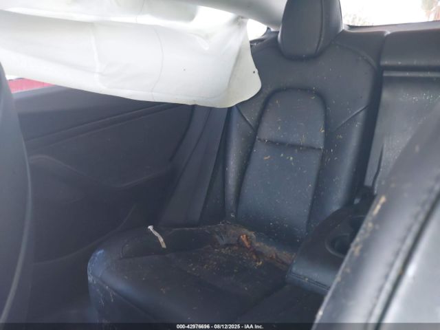 2021 TESLA MODEL 3 5YJ3E1EB1MF979811 Photo 7