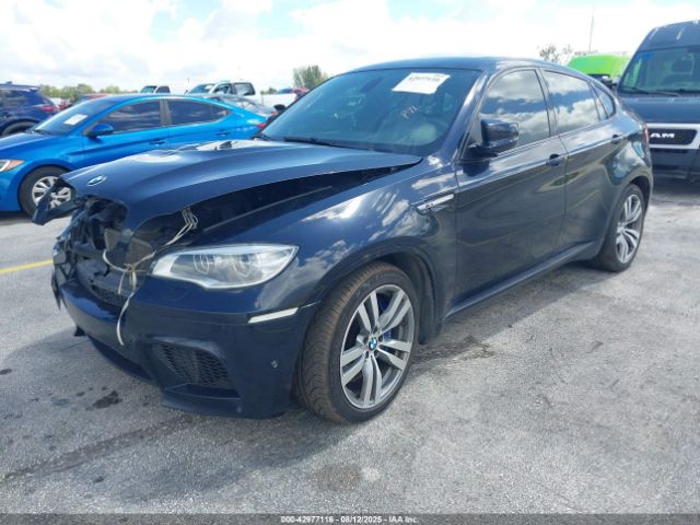 2013 BMW X6 M 5YMGZ0C58DLL30007 Photo 1