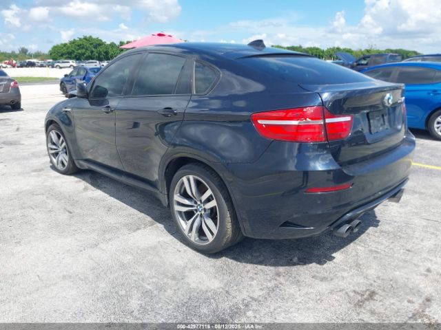 2013 BMW X6 M 5YMGZ0C58DLL30007 Photo 2