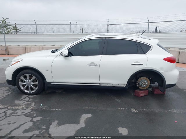 JN1BJ0RP1GM230447 Infiniti QX50