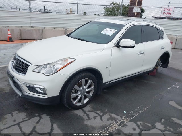JN1BJ0RP1GM230447 Infiniti QX50