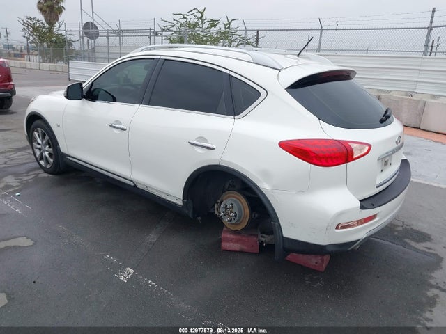 JN1BJ0RP1GM230447 Infiniti QX50