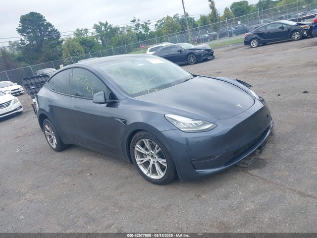 2023 TESLA MODEL Y 7SAYGDEE9PA053382 Photo 0