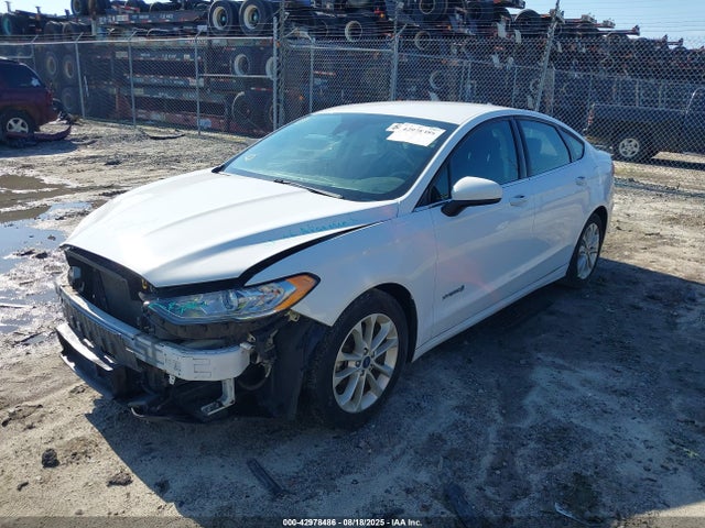Ford 2019 2019 3FA6P0LU6KR137635 Image 2