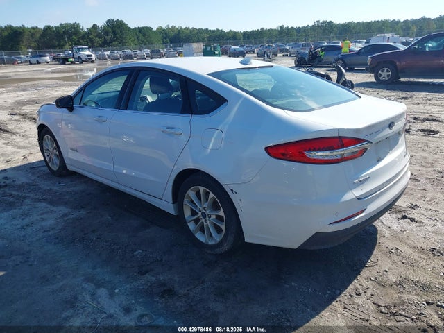 Ford 2019 2019 3FA6P0LU6KR137635 Image 3
