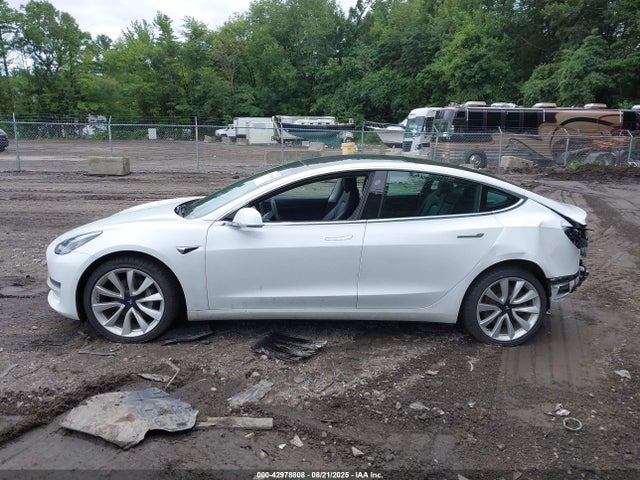 Tesla MODEL 3 2019 5YJ3E1EB2KF494235 Image 15