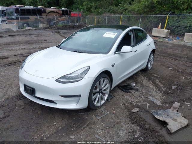 2019 TESLA MODEL 3 5YJ3E1EB2KF494235 Photo 1