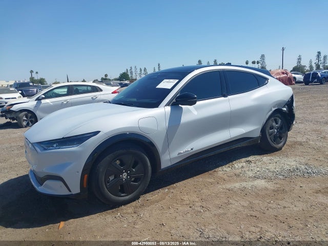 Ford 2021 2021 3FMTK2R75MMA51155 Image 2