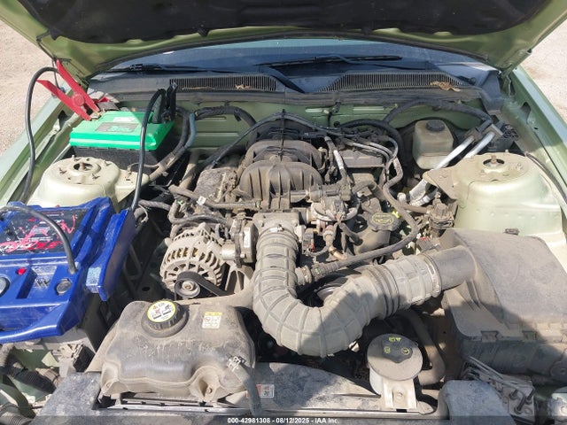 2006 FORD MUSTANG 1ZVFT80N865111108 Photo 9