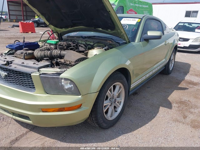 2006 FORD MUSTANG 1ZVFT80N865111108 Photo 1