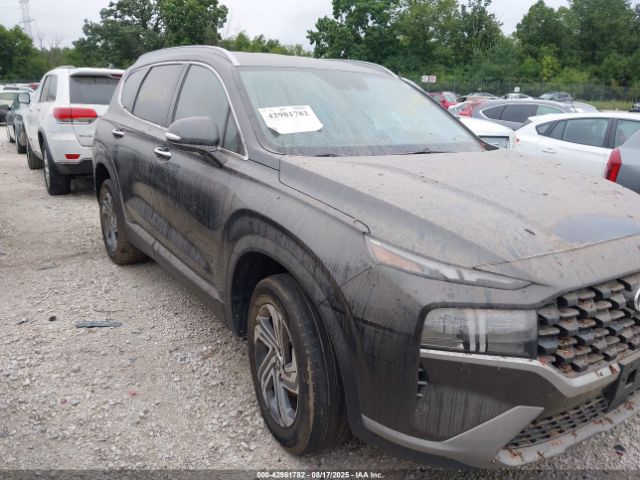 2023 HYUNDAI SANTA FE 5NMS2DAJ3PH611443