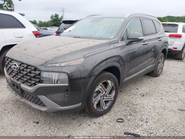 2023 HYUNDAI SANTA FE 5NMS2DAJ3PH611443 Photo 1