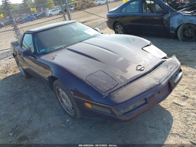 1992 CHEVROLET CORVETTE 1G1YY23P9N5115618