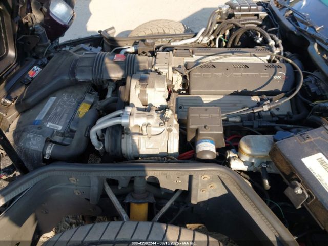 1992 CHEVROLET CORVETTE 1G1YY23P9N5115618 Photo 9